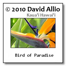 Kauai Hawaii
