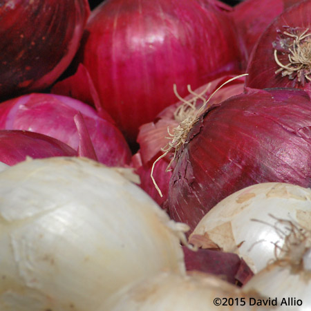 Red Onions White Onions Saturday Charleston Farmers Market South Carolina