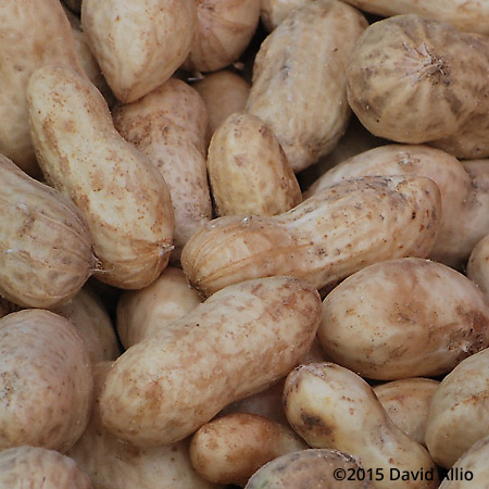 Raw Peanuts Saturday Charleston Farmers Market South Carolina Raw Peanuts Saturday Charleston Farmers Market South Carolina
