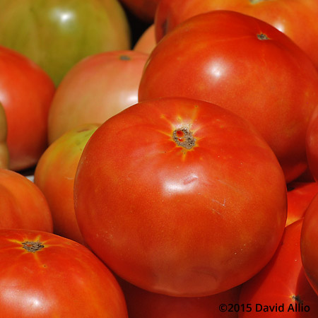 Tomatoes Saturday Charleston Farmers Market South Carolina