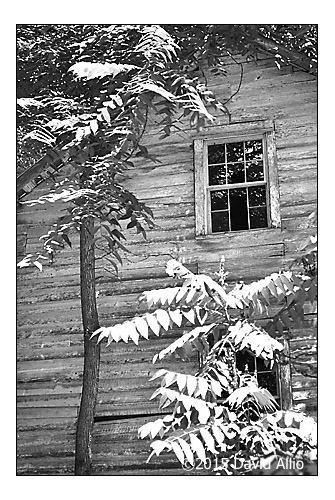 Windows Gilreaths Mill Upstate South Carolina