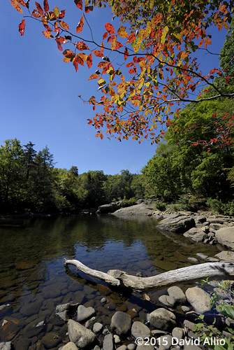 Pisgah National Forest South Toe River Yancey County North Carolina