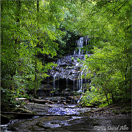 Station Cove Falls Sumter National Forest