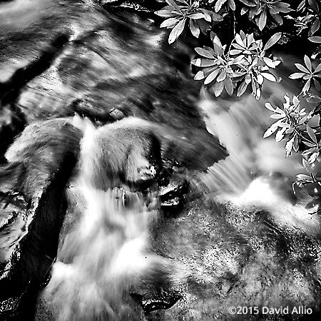 Rocks and Rapids on Little Stony Creek Virginia Mountain Waterfall Series