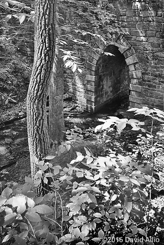 Constructed in 1820 Poinsett Bridge South Carolina Historic Landmark Series