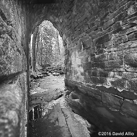 Inside Poinsett Bridge South Carolina Historic Landmark Series