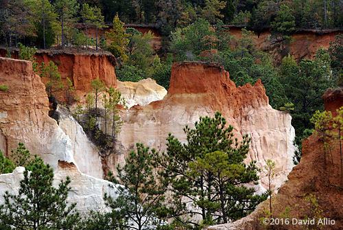 Layers Providence Canyon Stewart County Lumpkin Georgia Landmark Series Landmark Series