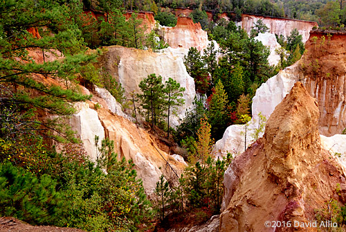 Changing Seasons Providence Canyon Stewart County Lumpkin Georgia Landmark Series Landmark Series