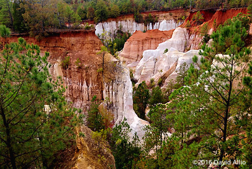 Nine Canyons Providence Canyon Stewart County Lumpkin Georgia Landmark Series Landmark Series