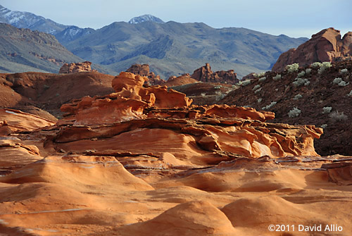 Natural Landscape Little Finland Gold Butte National Monument Series Nevada