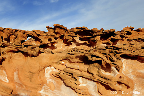 Sculptured Sandstone Little Finland Gold Butte National Monument Series Nevada