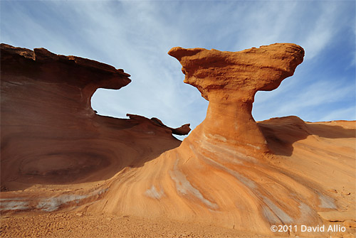 Geologic Distortion Little Finland Gold Butte National Monument Series Nevada