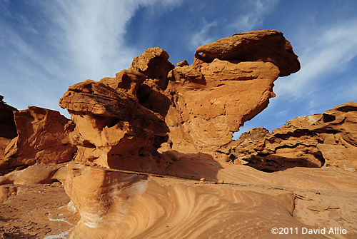 Little Finland Gold Butte National Monument Series Nevada