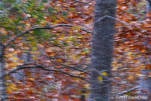 Autumn Breeze Upstate South Carolina