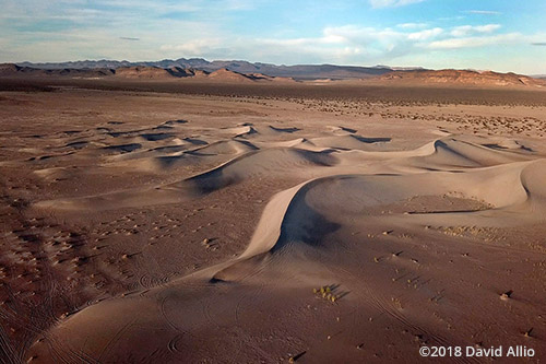 Critical Concern Big Dune Amargosa Dune Nye County Amargosa Valley Nevada Americana Collection