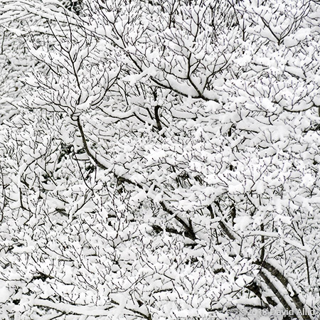 First Glance Abstract Art Upstate Snow South Carolina