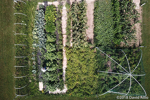 aerial photography Harvest Time in Southwest Virginia Wise County Virginia