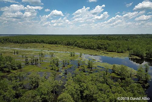 aerial photography Lake Miccosukee Jefferson County Florida