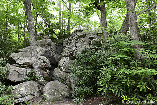 Sandstone Boulder Field Flag Rock Overlook Powell Valley Anticline Cumberland Mountains Southwest Virginia