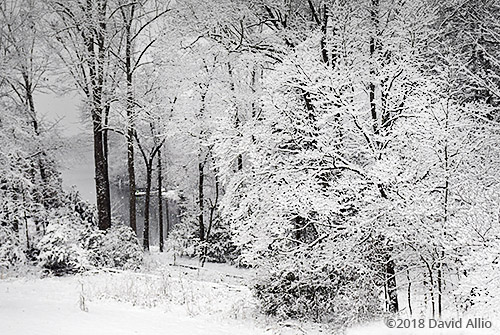 Thorn Cove landscape Upstate Snow South Carolina