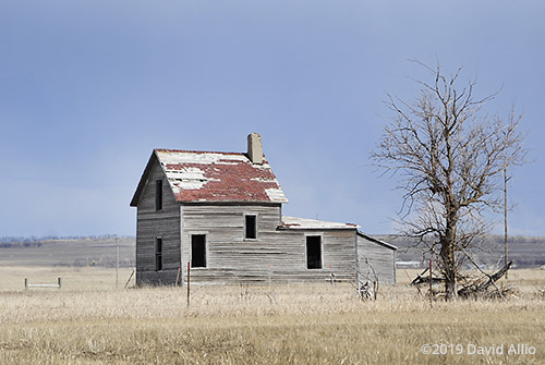 Resistance abandoned prairie house northern Great Plains Williams County Tioga North Dakota Americana Collection