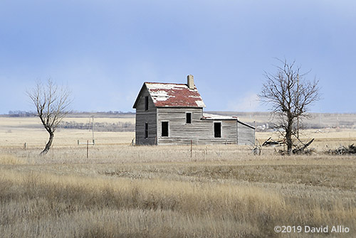 Climate Change snow absent abandoned prairie house northern Great Plains Williams County Tioga North Dakota Americana Collection