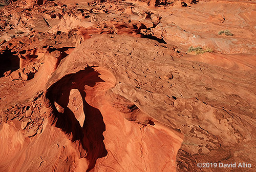 Little Finland Fissures and Arches Little Finland Gold Butte National Monument Nevada