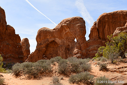 Parade of Elephants Arches National Park Moab Utah Americana Collection