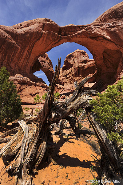Double Arch Arches National Park Moab Utah 2019