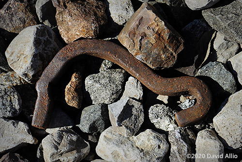 Rusted tie anchor and metamorphic stone in Vermilion County Illinois still life Americana Collection
