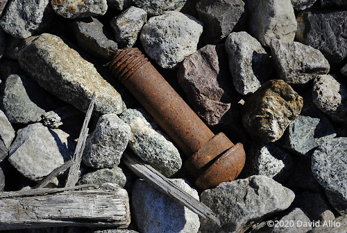 Rusted steel bolt and metamorphic stone in Vermilion County Illinois still life Americana Collection